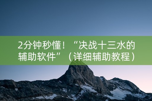 2分钟秒懂！“决战十三水的辅助软件”（详细辅助教程）-哔哩哔哩