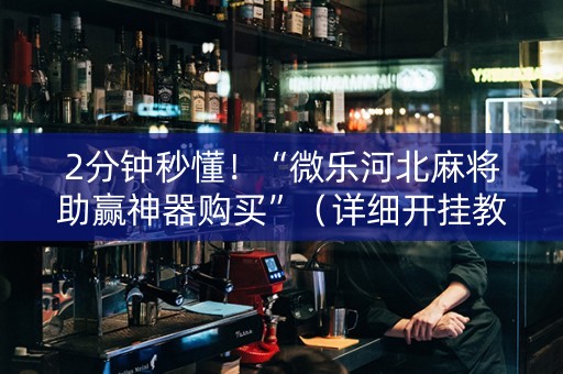 2分钟秒懂！“微乐河北麻将助赢神器购买”（详细开挂教程）-哔哩哔哩