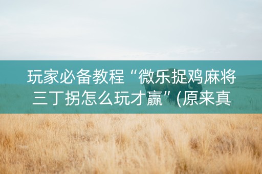玩家必备教程“微乐捉鸡麻将三丁拐怎么玩才赢”(原来真的有挂)-知乎