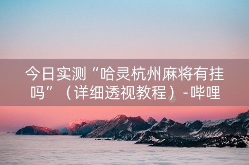 今日实测“哈灵杭州麻将有挂吗”（详细透视教程）-哔哩哔哩