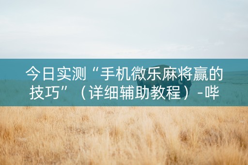 今日实测“手机微乐麻将赢的技巧”（详细辅助教程）-哔哩哔哩