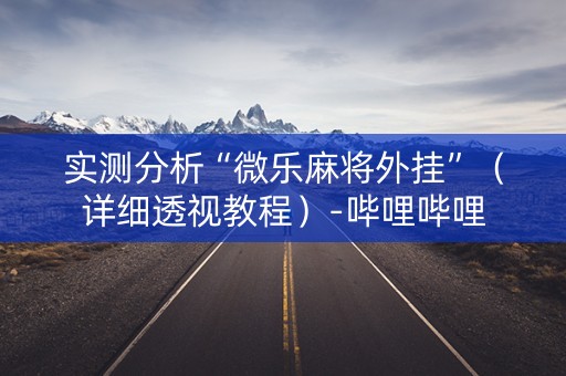 实测分析“微乐麻将外挂”（详细透视教程）-哔哩哔哩