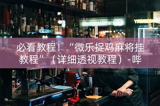 必看教程！“微乐捉鸡麻将挂教程”（详细透视教程）-哔哩哔哩