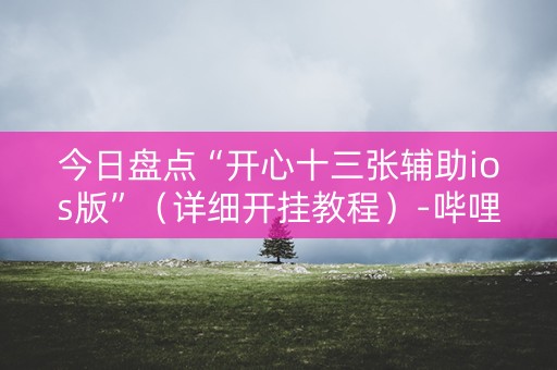 今日盘点“开心十三张辅助ios版”（详细开挂教程）-哔哩哔哩