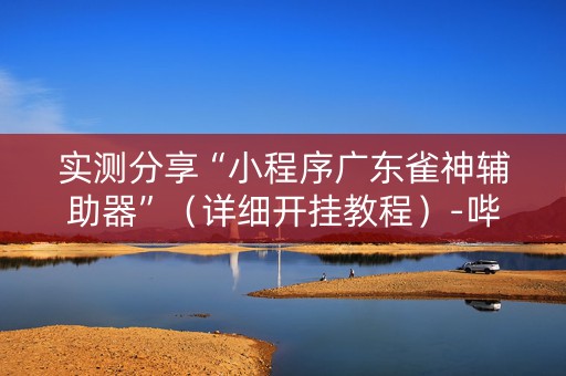 实测分享“小程序广东雀神辅助器”（详细开挂教程）-哔哩哔哩