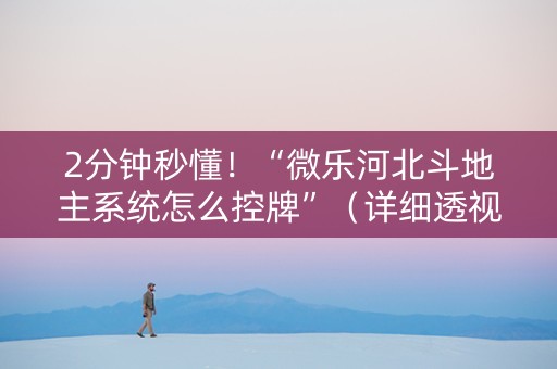 2分钟秒懂！“微乐河北斗地主系统怎么控牌”（详细透视教程）-哔哩哔哩