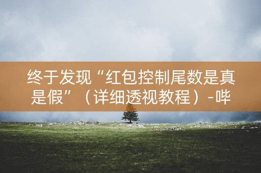 终于发现“红包控制尾数是真是假”（详细透视教程）-哔哩哔哩