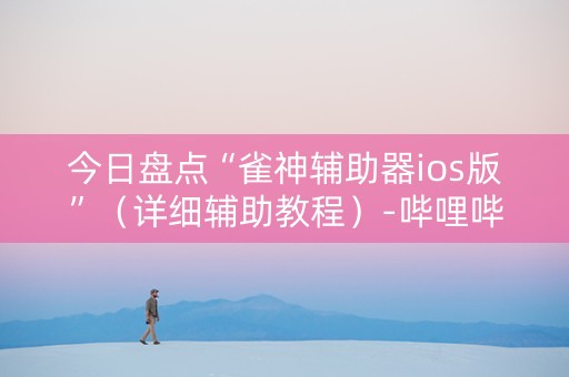 今日盘点“雀神辅助器ios版”（详细辅助教程）-哔哩哔哩