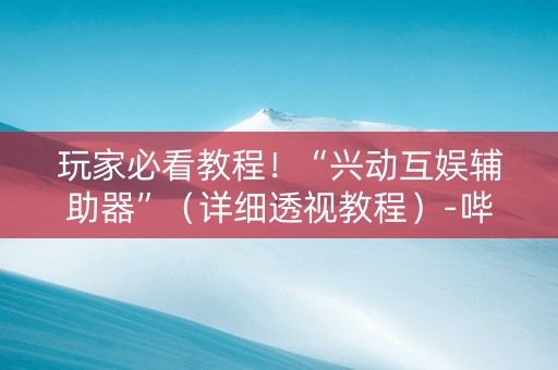 玩家必看教程！“兴动互娱辅助器”（详细透视教程）-哔哩哔哩