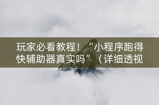 玩家必看教程！“小程序跑得快辅助器真实吗”（详细透视教程）-哔哩哔哩