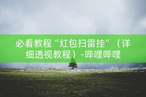 必看教程“红包扫雷挂”（详细透视教程）-哔哩哔哩