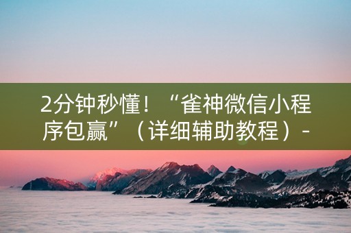 2分钟秒懂！“雀神微信小程序包赢”（详细辅助教程）-哔哩哔哩