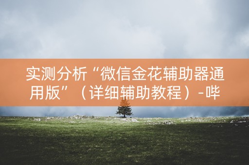 实测分析“微信金花辅助器通用版”（详细辅助教程）-哔哩哔哩