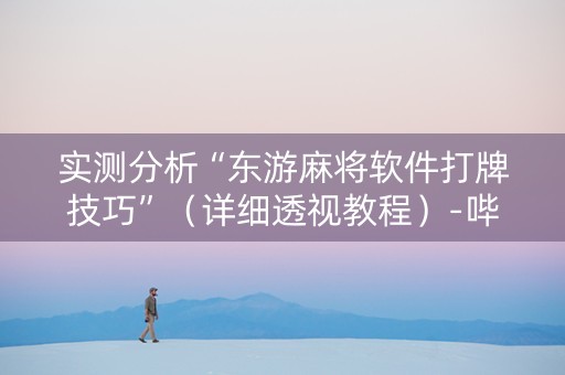 实测分析“东游麻将软件打牌技巧”（详细透视教程）-哔哩哔哩