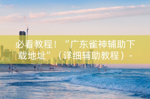必看教程！“广东雀神辅助下载地址”（详细辅助教程）-哔哩哔哩