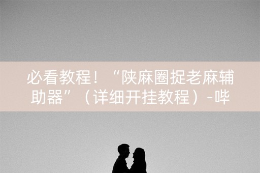 必看教程！“陕麻圈捉老麻辅助器”（详细开挂教程）-哔哩哔哩