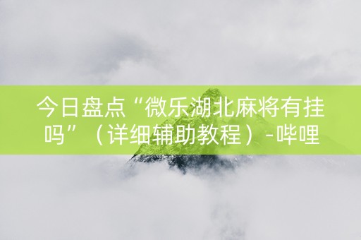 今日盘点“微乐湖北麻将有挂吗”（详细辅助教程）-哔哩哔哩