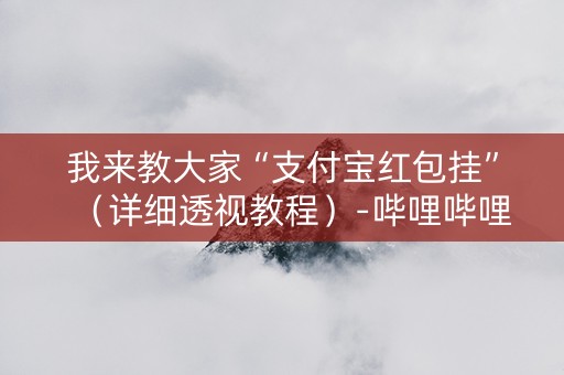 我来教大家“支付宝红包挂”（详细透视教程）-哔哩哔哩