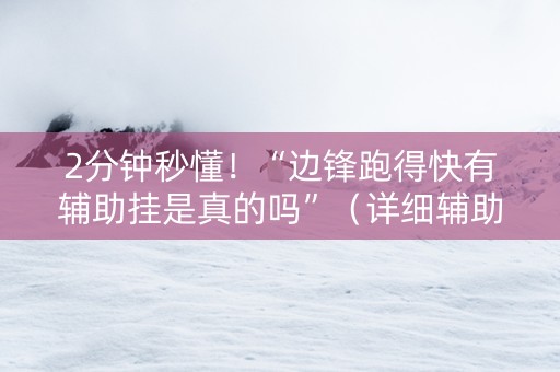 2分钟秒懂！“边锋跑得快有辅助挂是真的吗”（详细辅助教程）-哔哩哔哩