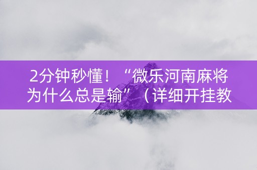 2分钟秒懂！“微乐河南麻将为什么总是输”（详细开挂教程）-哔哩哔哩