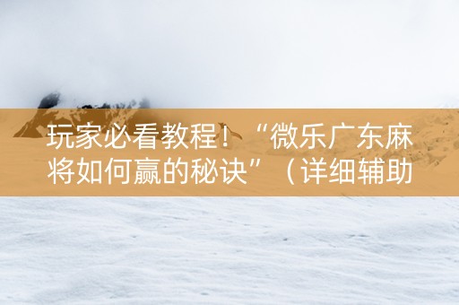 玩家必看教程！“微乐广东麻将如何赢的秘诀”（详细辅助教程）-哔哩哔哩