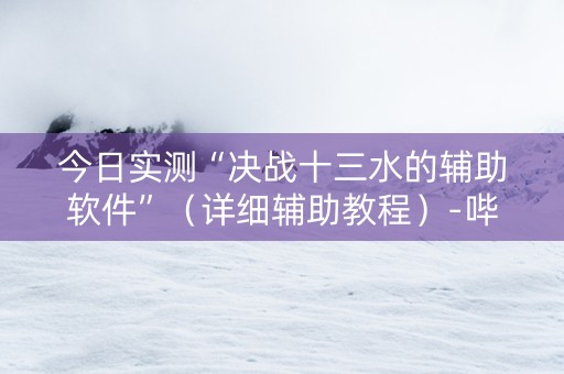 今日实测“决战十三水的辅助软件”（详细辅助教程）-哔哩哔哩