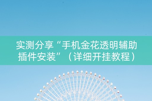 实测分享“手机金花透明辅助插件安装”（详细开挂教程）-哔哩哔哩