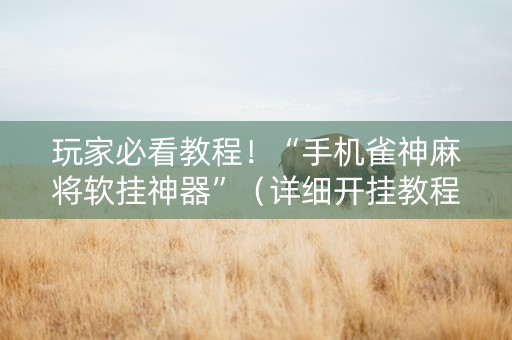 玩家必看教程！“手机雀神麻将软挂神器”（详细开挂教程）-哔哩哔哩