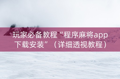 玩家必备教程“程序麻将app下载安装”（详细透视教程）-哔哩哔哩