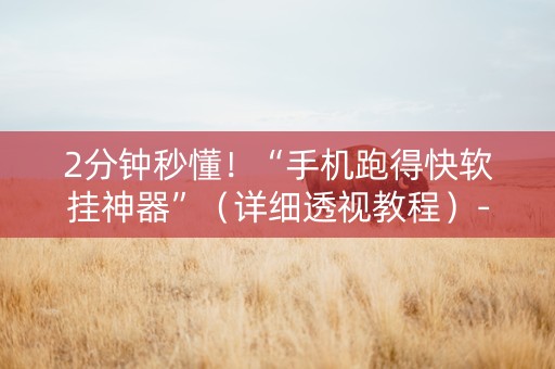 2分钟秒懂！“手机跑得快软挂神器”（详细透视教程）-哔哩哔哩