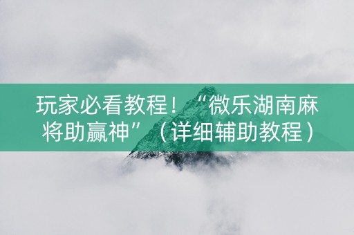玩家必看教程！“微乐湖南麻将助赢神”（详细辅助教程）-哔哩哔哩