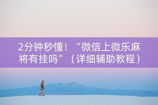 2分钟秒懂！“微信上微乐麻将有挂吗”（详细辅助教程）-哔哩哔哩