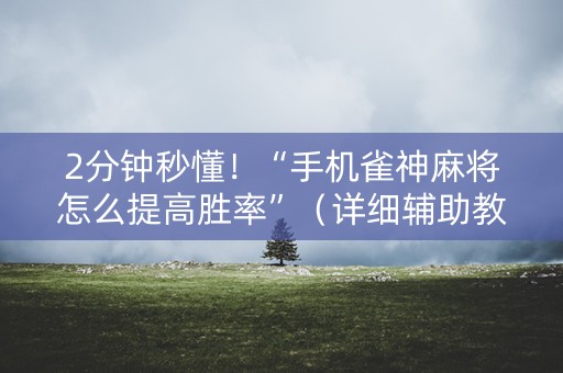 2分钟秒懂！“手机雀神麻将怎么提高胜率”（详细辅助教程）-哔哩哔哩