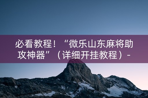 必看教程！“微乐山东麻将助攻神器”（详细开挂教程）-哔哩哔哩