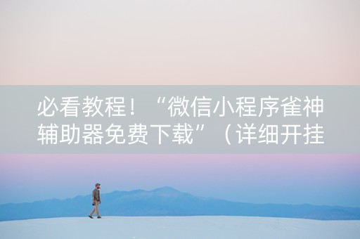 必看教程！“微信小程序雀神辅助器免费下载”（详细开挂教程）-哔哩哔哩