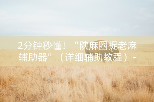 2分钟秒懂！“陕麻圈捉老麻辅助器”（详细辅助教程）-哔哩哔哩
