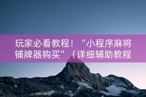 玩家必看教程！“小程序麻将铺牌器购买”（详细辅助教程）-哔哩哔哩