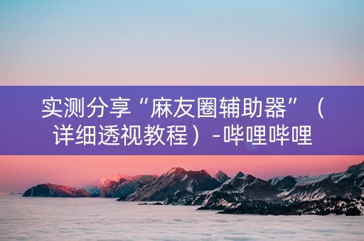 实测分享“麻友圈辅助器”（详细透视教程）-哔哩哔哩