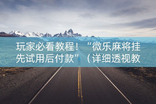 玩家必看教程！“微乐麻将挂先试用后付款”（详细透视教程）-哔哩哔哩