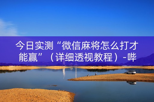 今日实测“微信麻将怎么打才能赢”（详细透视教程）-哔哩哔哩
