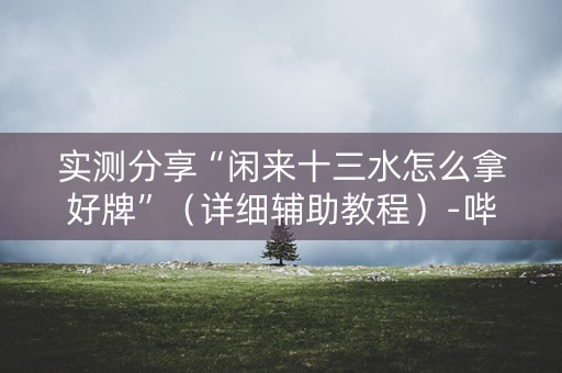 实测分享“闲来十三水怎么拿好牌”（详细辅助教程）-哔哩哔哩