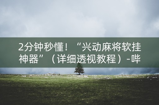 2分钟秒懂！“兴动麻将软挂神器”（详细透视教程）-哔哩哔哩