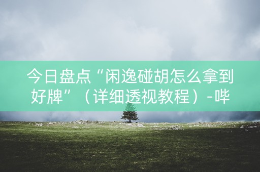 今日盘点“闲逸碰胡怎么拿到好牌”（详细透视教程）-哔哩哔哩