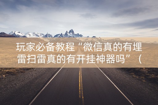 玩家必备教程“微信真的有埋雷扫雷真的有开挂神器吗”（详细透视教程）-哔哩哔哩
