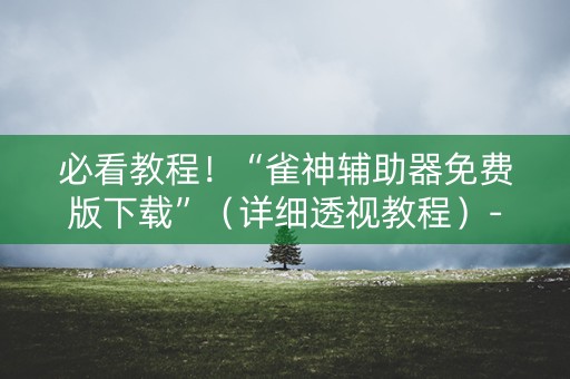必看教程！“雀神辅助器免费版下载”（详细透视教程）-哔哩哔哩
