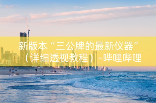 新版本“三公牌的最新仪器”（详细透视教程）-哔哩哔哩