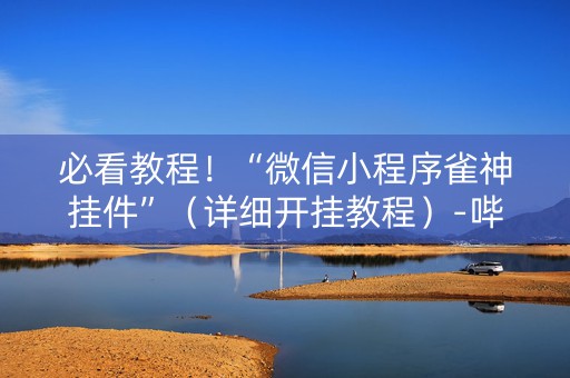 必看教程！“微信小程序雀神挂件”（详细开挂教程）-哔哩哔哩