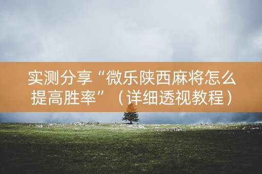 实测分享“微乐陕西麻将怎么提高胜率”（详细透视教程）-哔哩哔哩