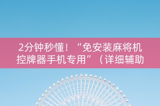 2分钟秒懂！“免安装麻将机控牌器手机专用”（详细辅助教程）-哔哩哔哩