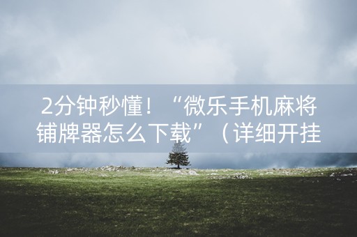 2分钟秒懂！“微乐手机麻将铺牌器怎么下载”（详细开挂教程）-哔哩哔哩